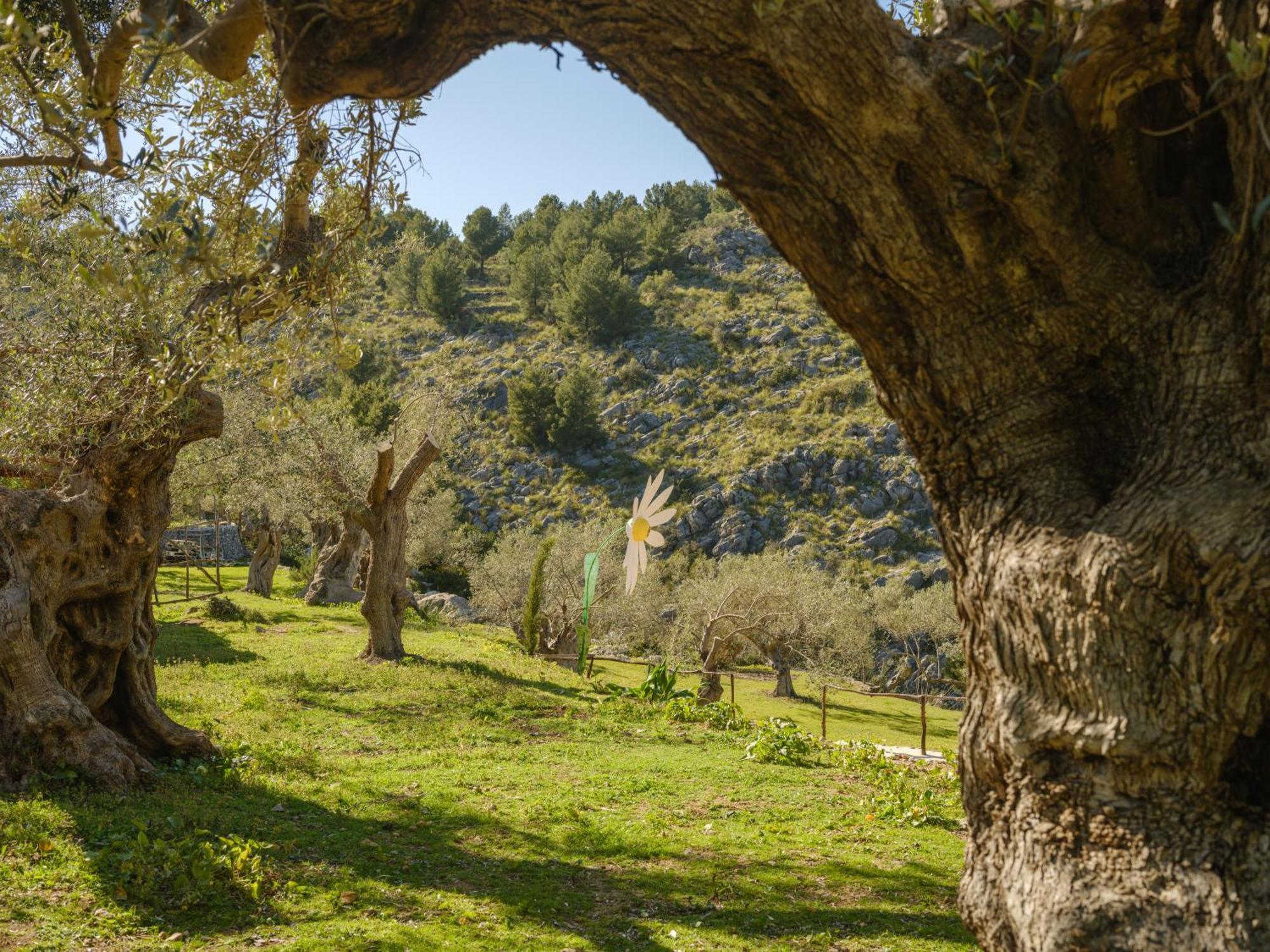 Agroturismo Muleta De Ca S'Hereu Puerto de Sóller Buitenkant foto
